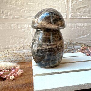 Gorgeous Black Moonstone Mushroom Carving